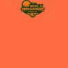 Barnstaple Orange Thumbnail